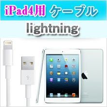 iPad4ケーブル