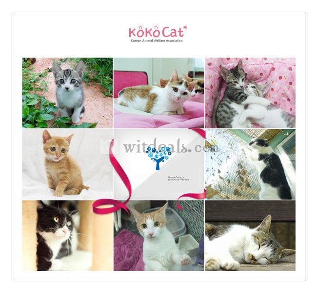 猫ミミがとってもキュートなiphoneケース　kokocat for iPhone4/4S