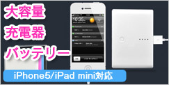 iPad mini大容量バッテリー