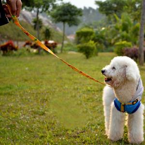 犬用ロープ リード ペット用品 犬用品 首輪 胴輪 リード ペットグッズ 猫用