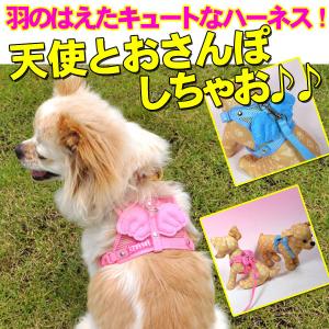 ハーネス 小中型犬 胴輪 リード メッシュタイプ ペット ハーネスリード ペット用品